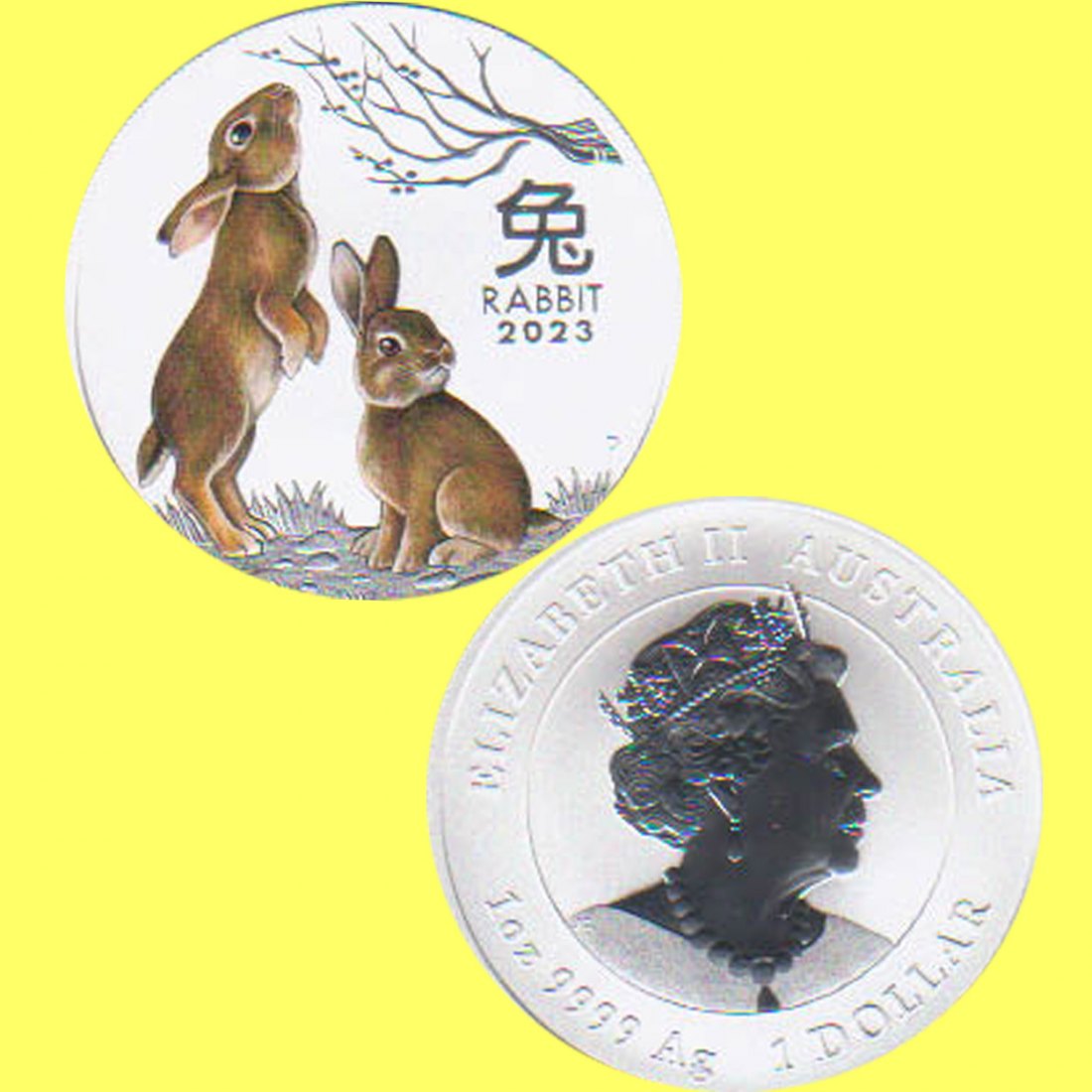  Australien 1$ Silbermünze *Jahr des Hasen* 2023 1oz Silber in Farbe nur 50.000St!   