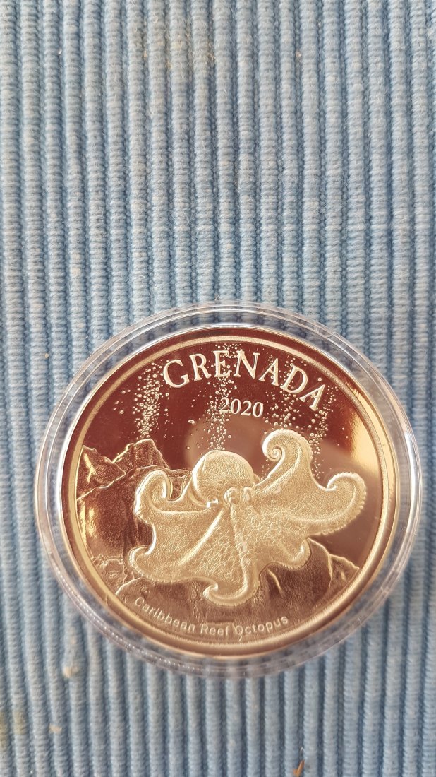  Grenada 2020 Octopus - Diving Paradise EC8 Serie Silber 1 oz   