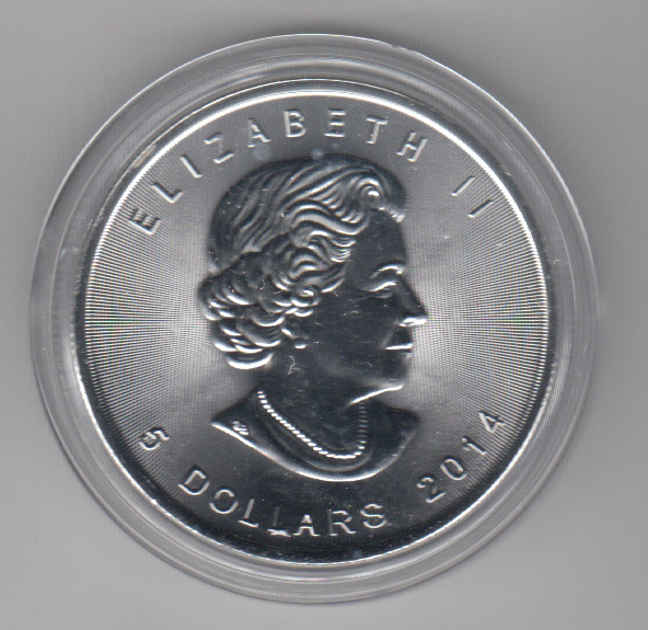  Kanada, Maple Leaf Wildlife 2014, 5 Dollar Gans, Color, Farbe, 1 unze oz Silber   