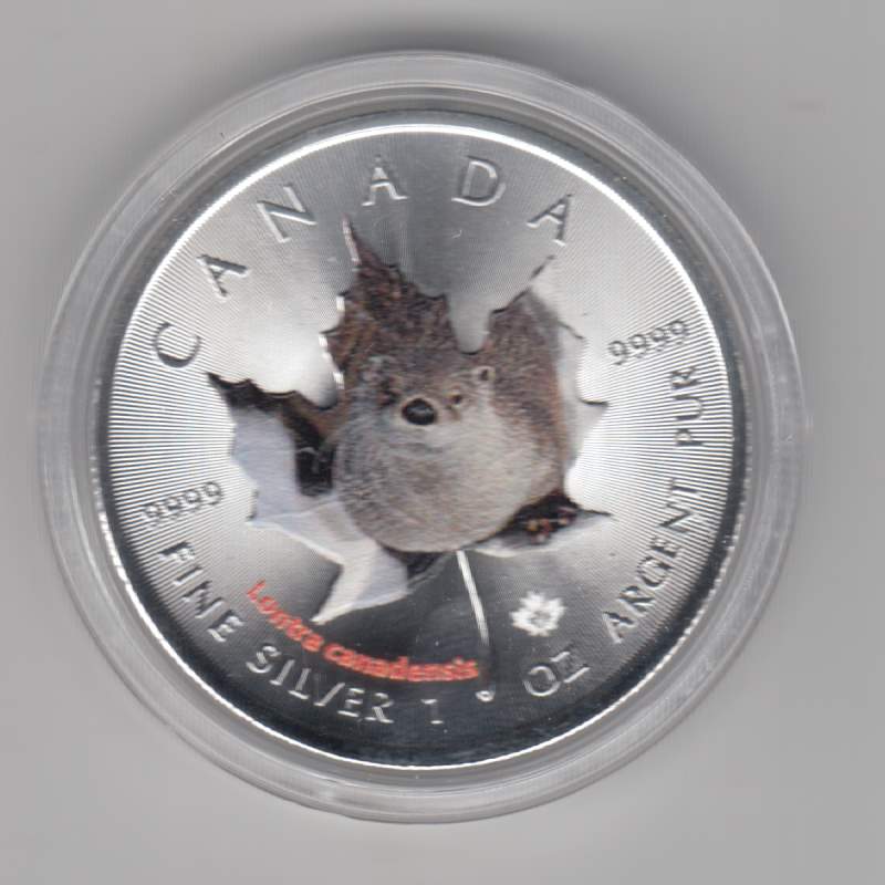  Kanada, Maple Leaf Wildlife 2015, 5 Dollar Fischotter, Color, Farbe, 1 unze oz Silber   