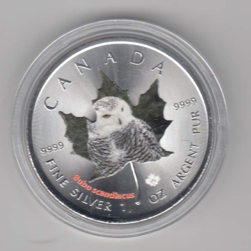  Kanada, Maple Leaf Wildlife 2015, 5 Dollar Schneeeule, Color, Farbe, 1 unze oz Silber   