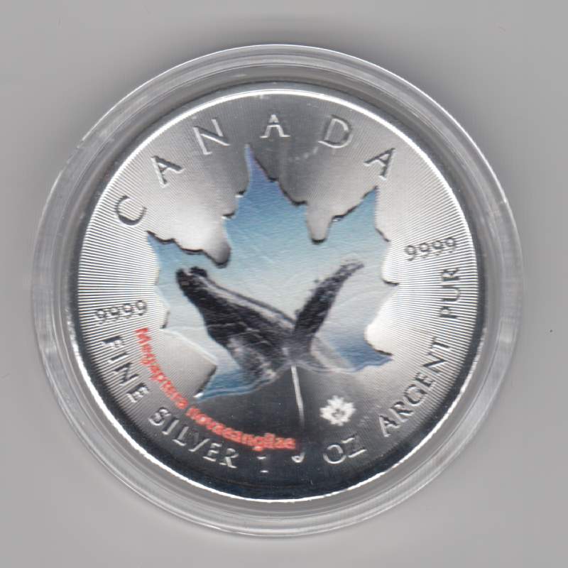  Kanada, Maple Leaf Wildlife 2015, 5 Dollar Buckelwal, Color, Farbe, 1 unze oz Silber   