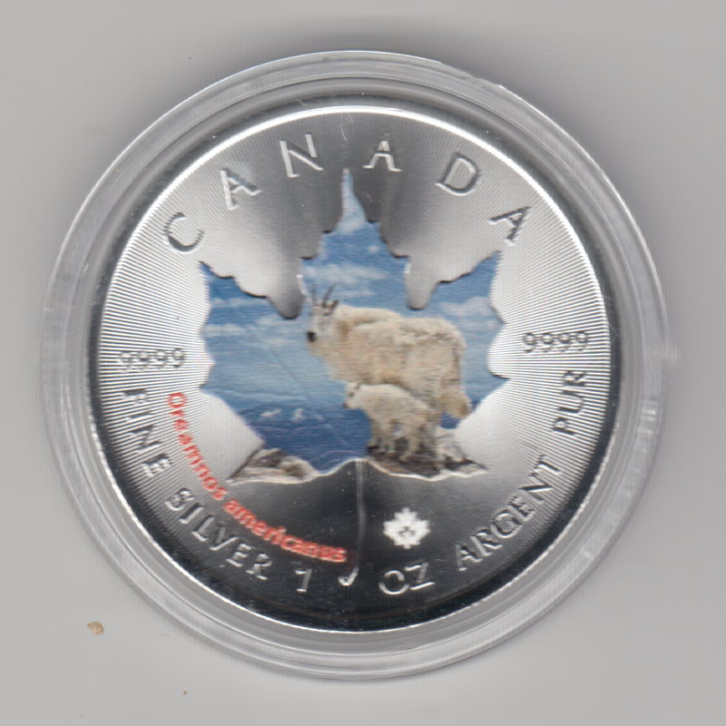  Kanada, Maple Leaf Wildlife 2015, 5 Dollar Schneeziege, Color, Farbe, 1 unze oz Silber   