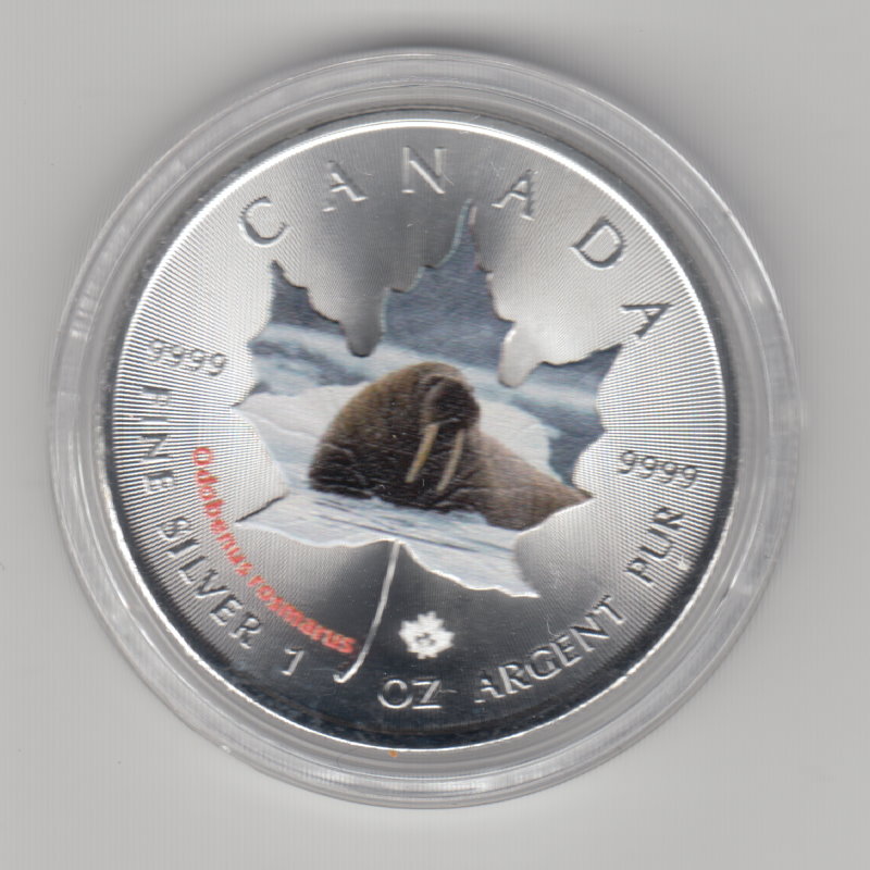  Kanada, Maple Leaf Wildlife 2015, 5 Dollar Walross, Color, Farbe, 1 unze oz Silber   