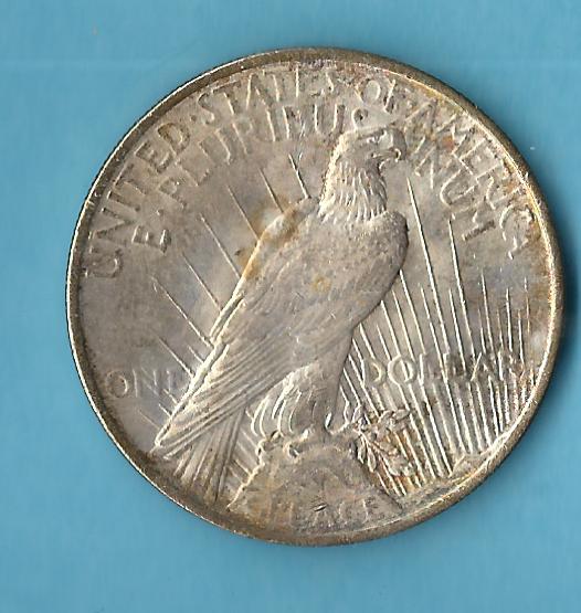  USA Peace Dollar 1923 vz   Münzenankauf Koblenz Frank Maurer AC256   