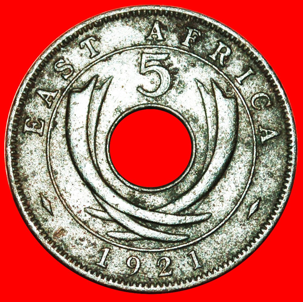  * GREAT BRITAIN TUSKS: EAST AFRICA ★ 5 CENTS 1921! GEORGE V (1911-1936)★LOW START ★ NO RESERVE!   