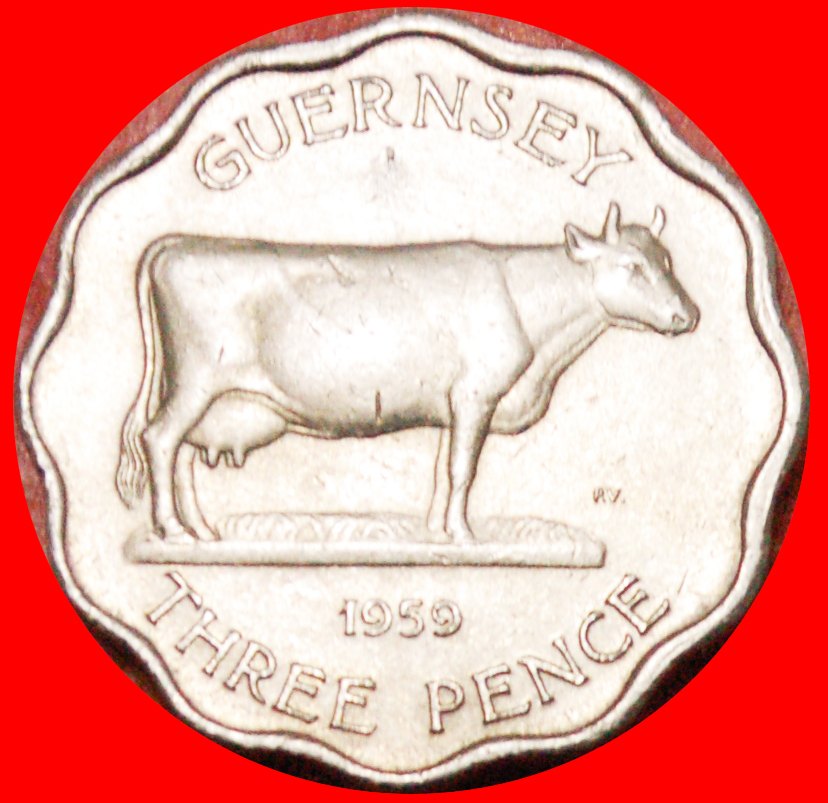  * GREAT BRITAIN: GUERNSEY★3 PENCE 1959 COW★THICK FLAN★ELIZABETH II 1953-2022★LOW START ★ NO RESERVE!   