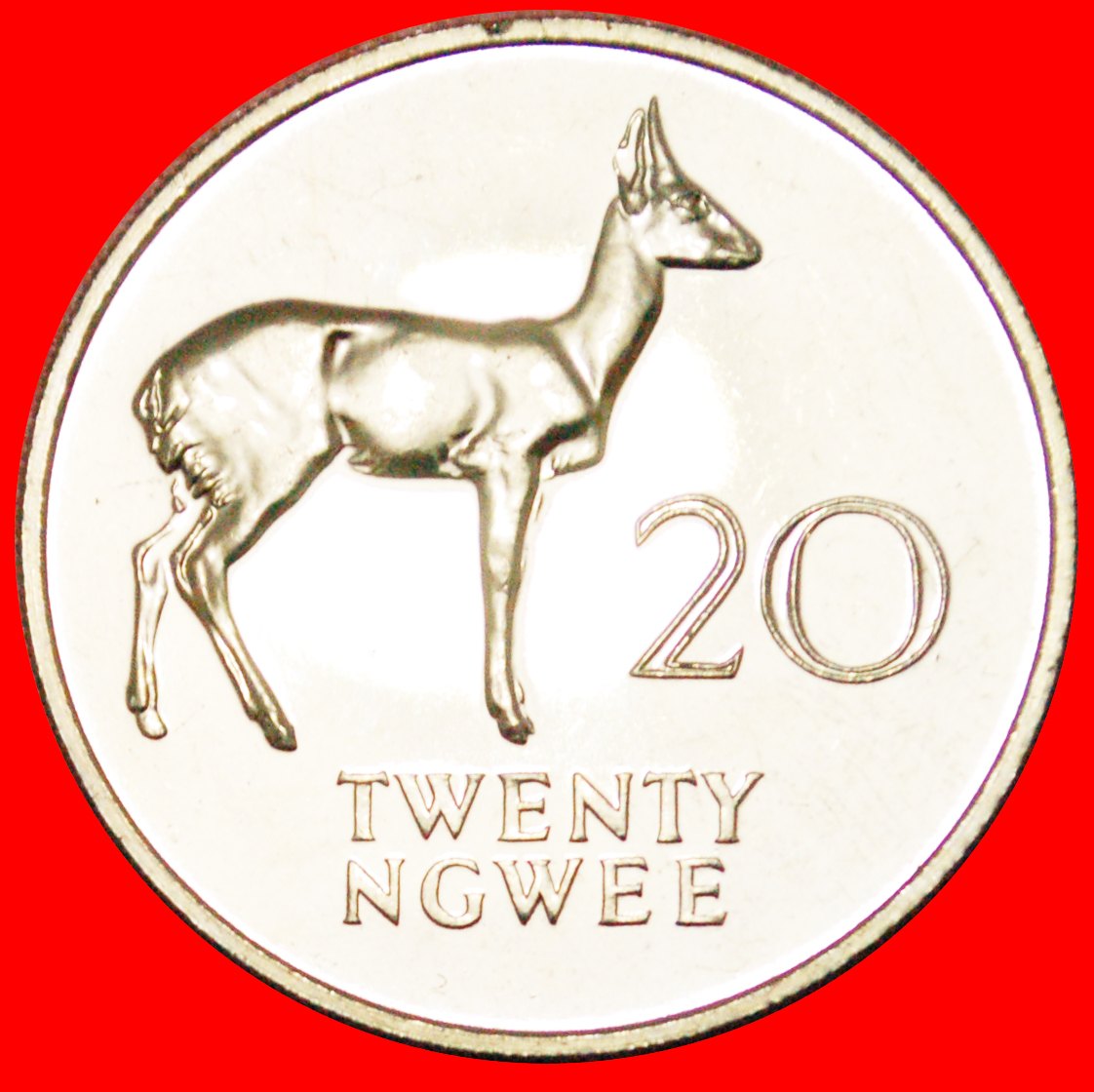  * GREAT BRITAIN (1968-1988): ZAMBIA ★ 20 NGWEE 1968! PROOF REEDBUCK!  LOW START ★ NO RESERVE!   