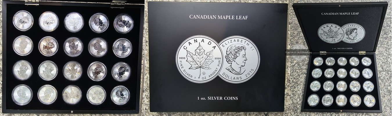  Kanada 20 x  5 Dollar Maple Leaf meist 2019  FM-Frankfurt Feinsilber: 20x31,1g, zus. 622g   