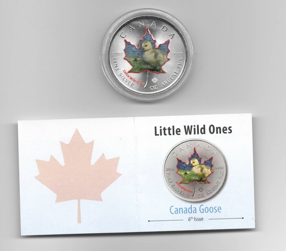  Canada, Maple Leaf, Little Wild Ones, 5 $, Goose, Farbe, 2500 St., Zertifikat, 1 unze, oz Silber   