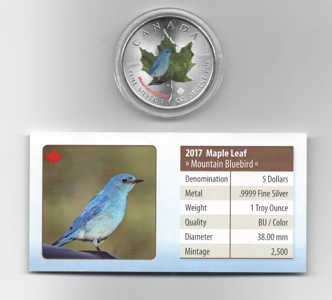  Maple Leaf, Canadian Birds, 5$ 2017, Mountain Bluebird, Farbe, 2500 St. Zertifikat, 1 oz Silber   