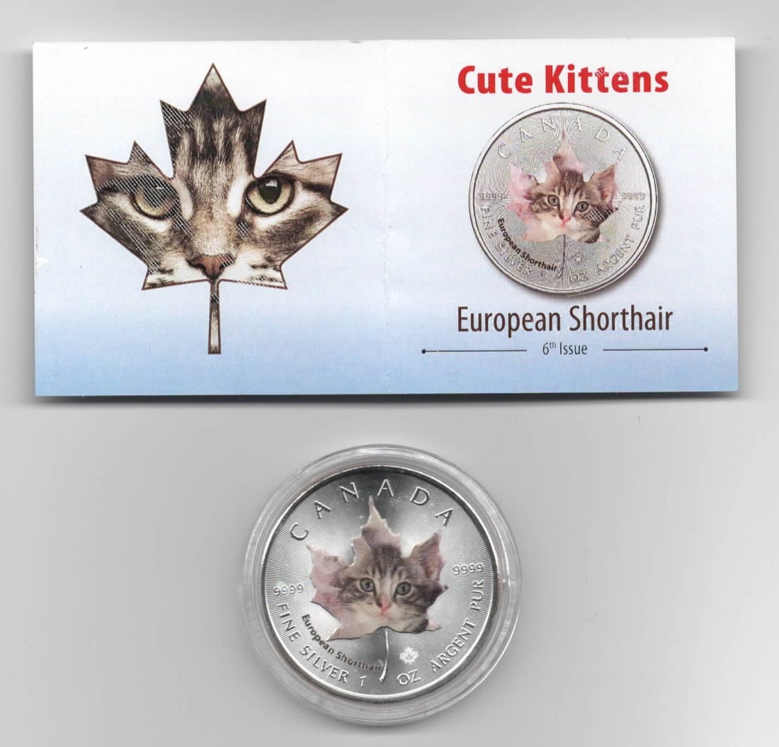  Maple Leaf, Cute Kittens, 5$ 2017, European Shorthair, Farbe, 2500 St. Zertifikat, 1 oz Silber   