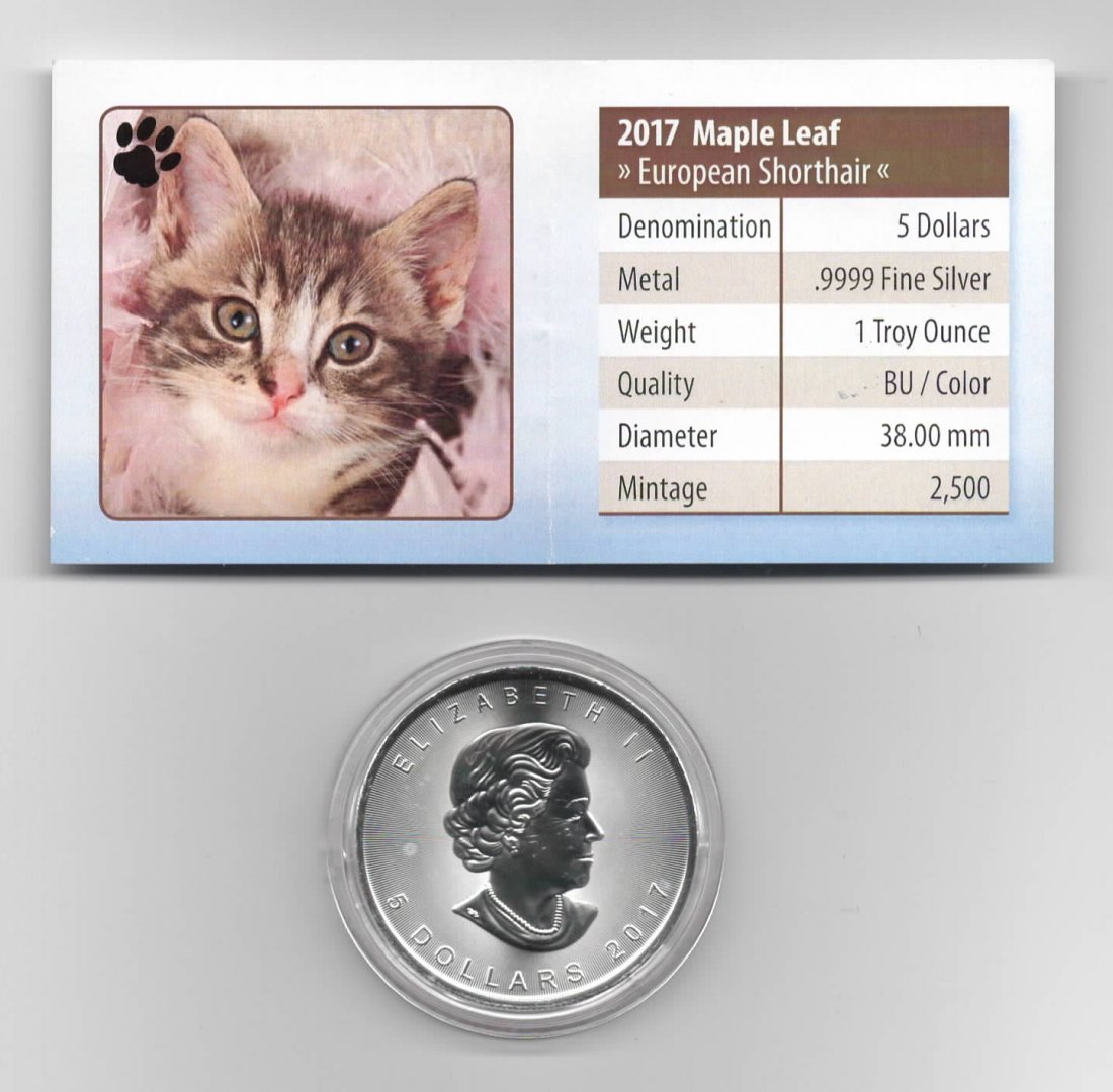  Maple Leaf, Cute Kittens, 5$ 2017, European Shorthair, Farbe, 2500 St. Zertifikat, 1 oz Silber   