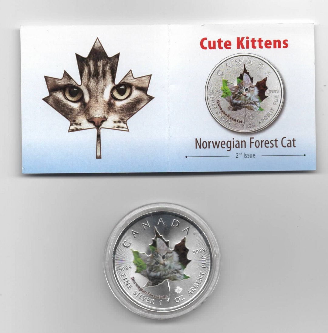 Maple Leaf, Cute Kittens, 5$ 2017, Norwegian Forest Cat, Farbe, 2500 St. Zertifikat, 1 oz Silber   