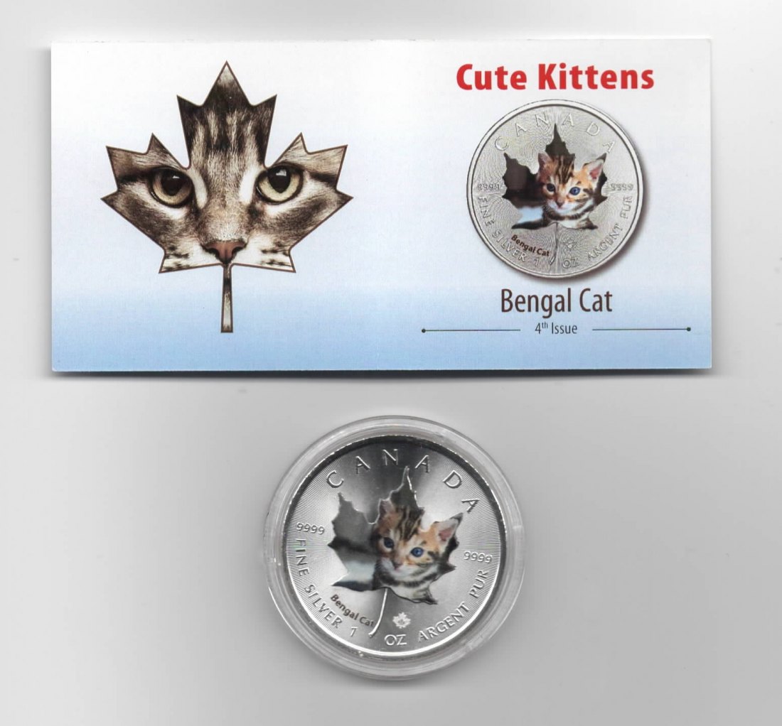  Maple Leaf, Cute Kittens, 5$ 2017, Bengal Cat, Farbe, 2500 St. Zertifikat, 1 oz Silber   