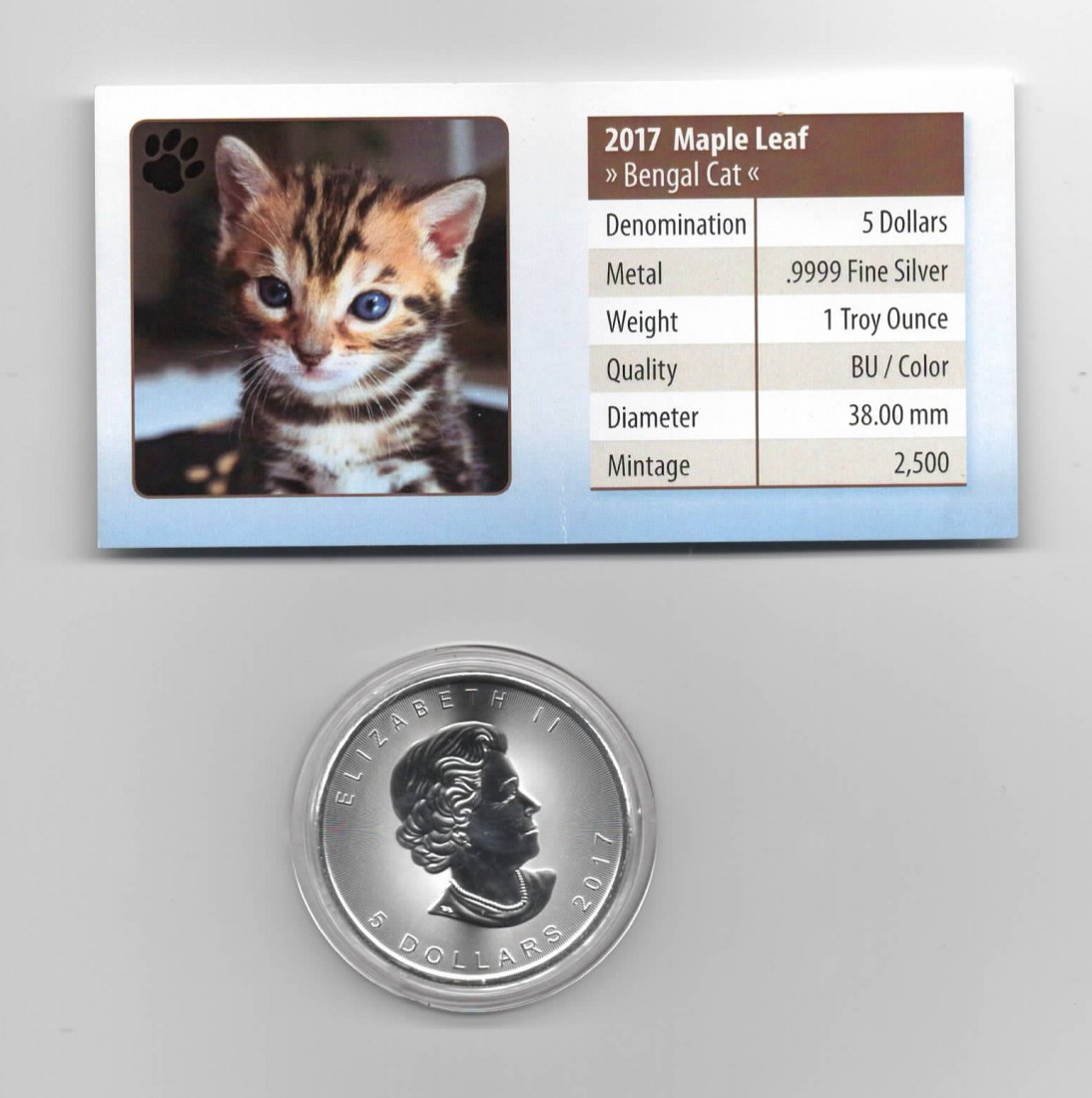  Maple Leaf, Cute Kittens, 5$ 2017, Bengal Cat, Farbe, 2500 St. Zertifikat, 1 oz Silber   