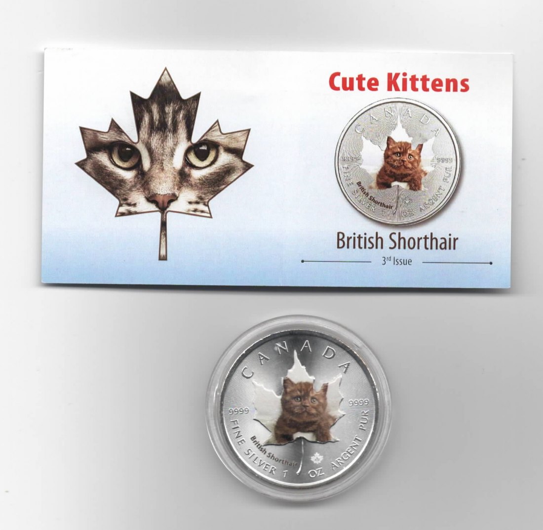 Maple Leaf, Cute Kittens, 5$ 2017, British Shorthair, Farbe, 2500 St. Zertifikat, 1 oz Silber   