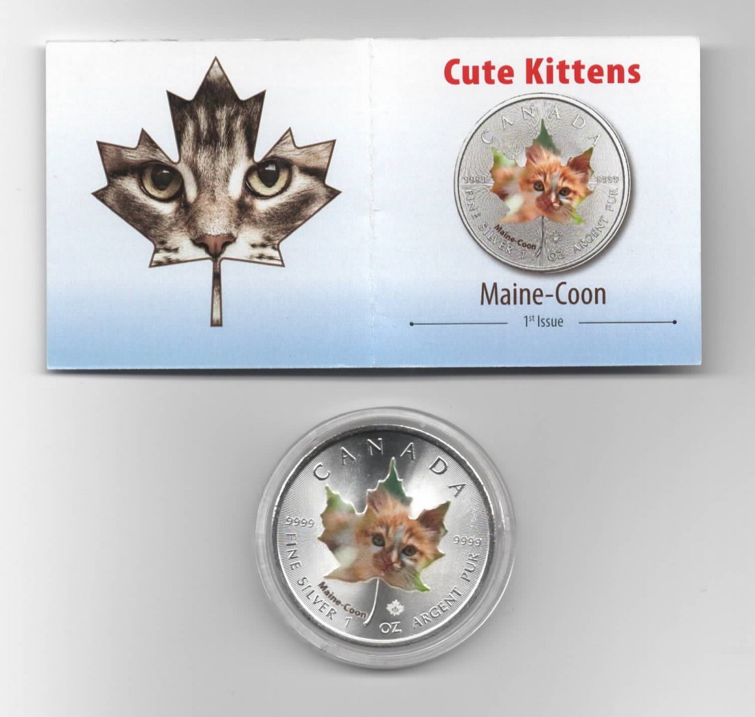  Maple Leaf, Cute Kittens, 5$ 2017, Main-Coon, Farbe, 2500 St. Zertifikat, 1 oz Silber   