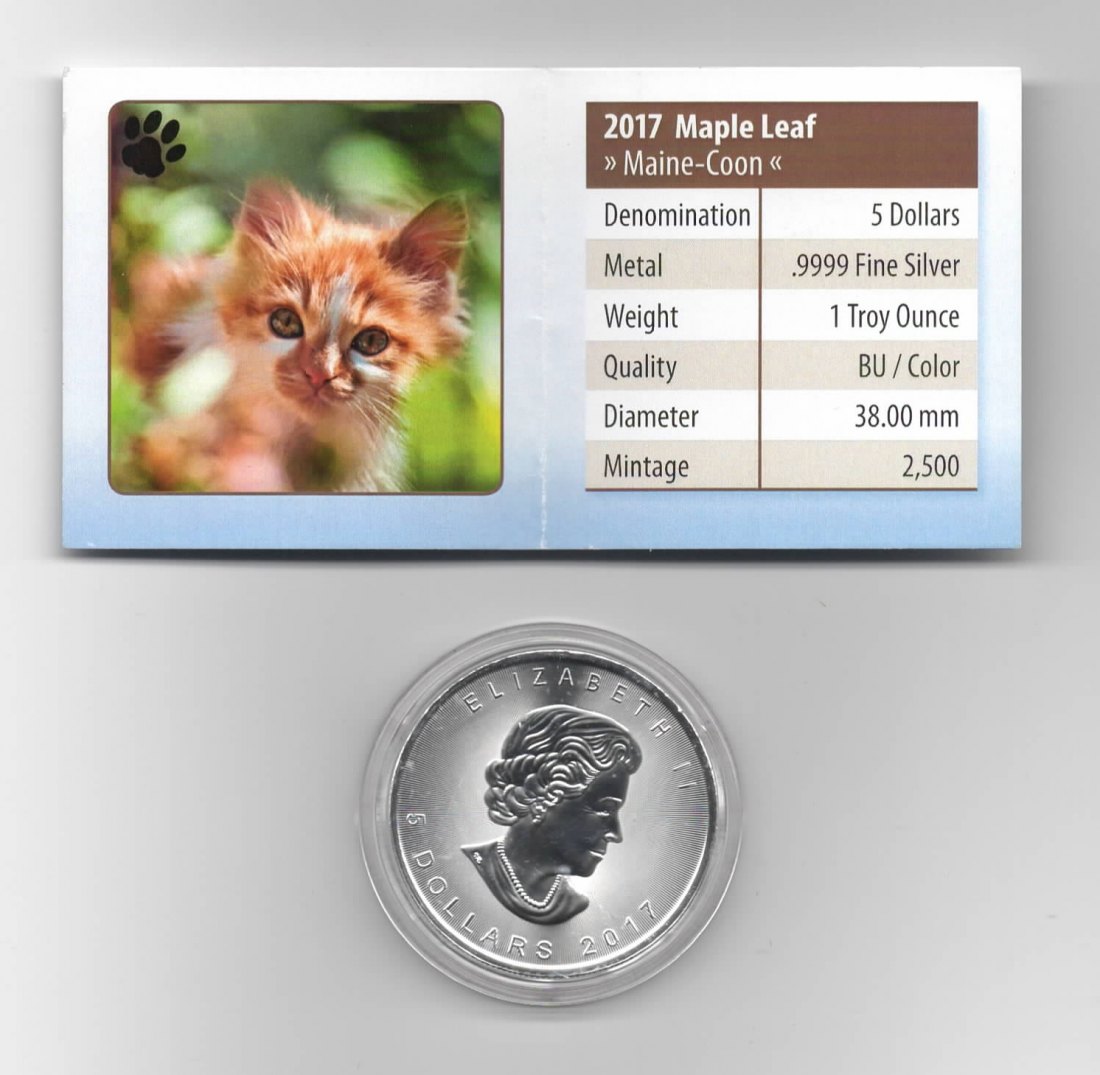  Maple Leaf, Cute Kittens, 5$ 2017, Main-Coon, Farbe, 2500 St. Zertifikat, 1 oz Silber   