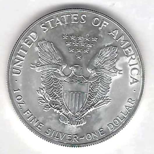  USA Silver Eagle 1991 1 oz. Silber Münzenankauf Koblenz Frank Maurer AD410   