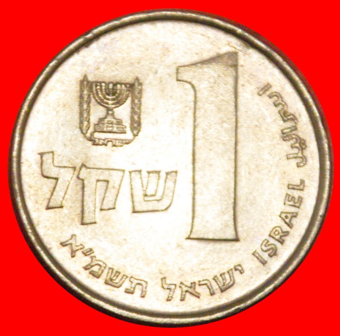  * 10 PERLEN (1981-1985): PALÄSTINA (israel) ★ 1 SHEKEL 5741 (1981)!★OHNE VORBEHALT!   