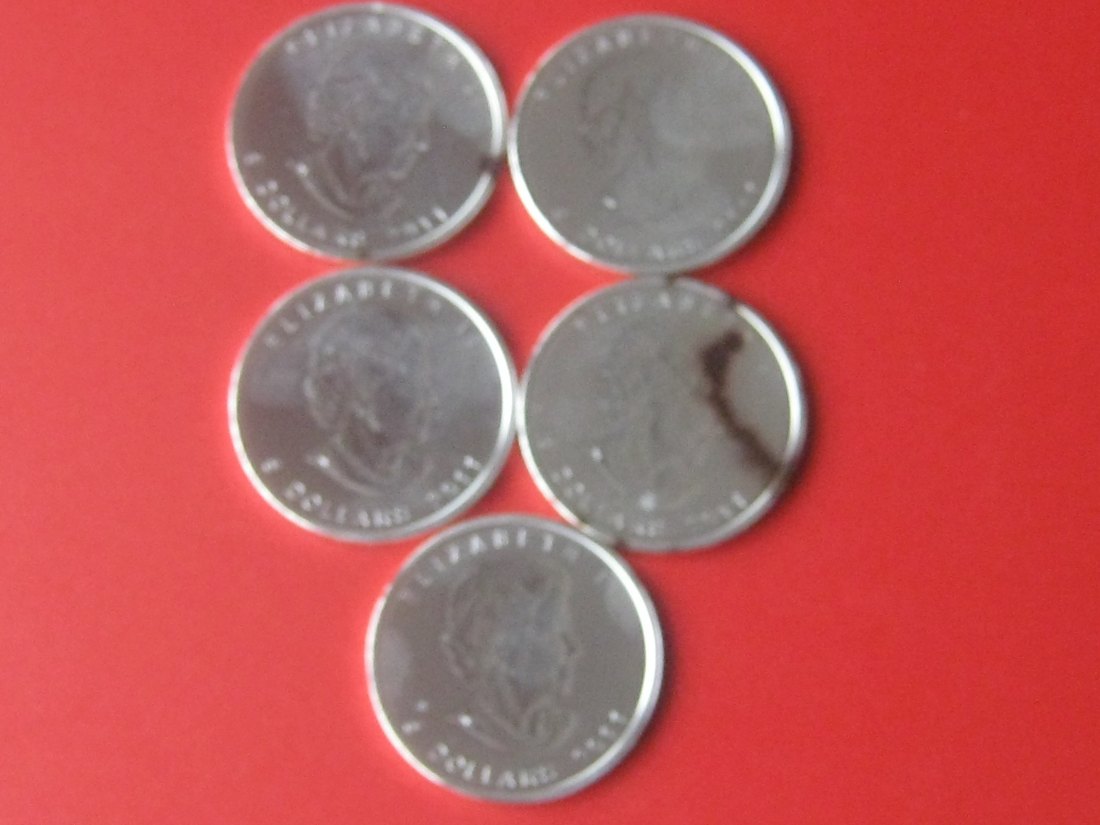  5 x 1 Unze Silber Kanada 2011; 5 Dollars - Elizabeth II.; 31,1 Gramm Silber pro Münze   