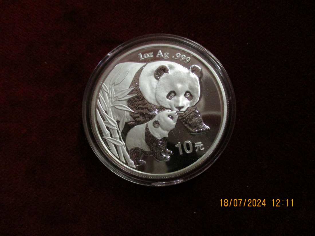  10 Yuan Panda China 2004 Silber 999er   
