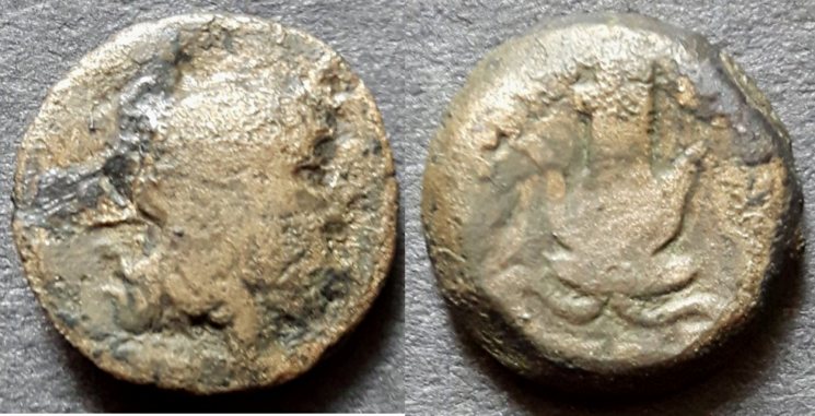  Ägypten, Ptolemaios X., AE-14, zypriotische Münzstätte, Zeus / Isiskrone   