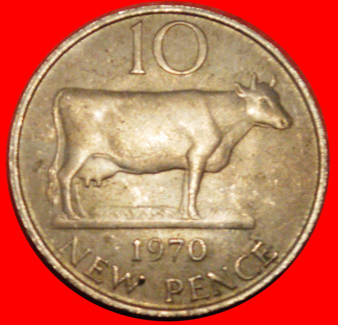  * GREAT BRITAIN (1968-1971): GUERNSEY★10 NEW PENCE 1970 COW! UNC MINT LUSTRE★LOW START ★ NO RESERVE!   