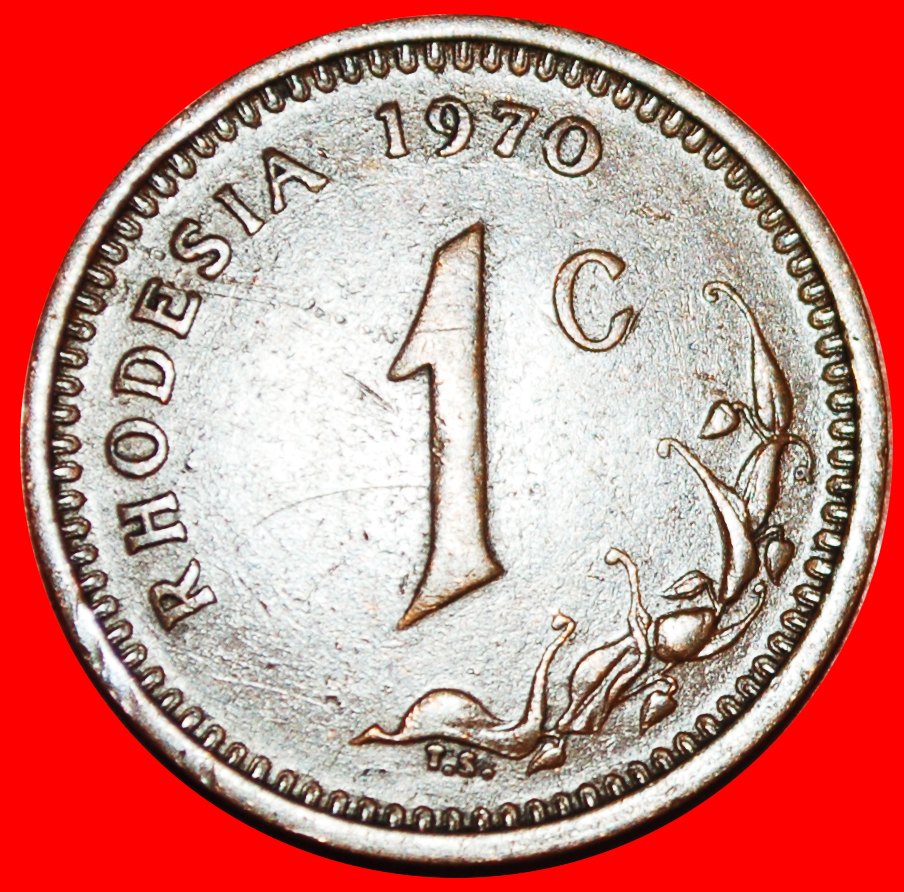  * SÜDAFRIKA (1970-1977): RHODESIEN ★ 1 CENT 1970! UNANERKANNTES LAND 2 ANTELOPEN!★OHNE VORBEHALT!   