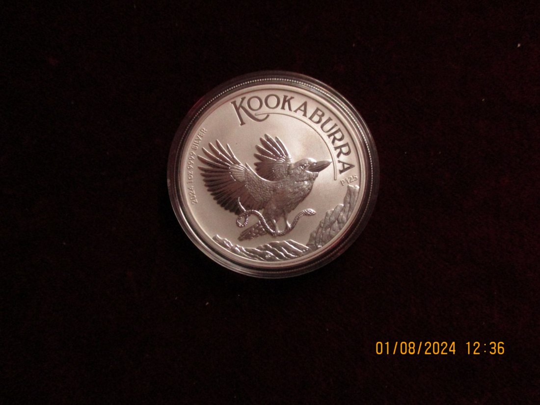  1 Dollar 2024 Kookabura Australien Silbermünze   
