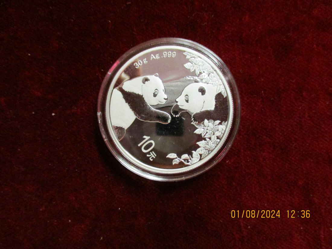 10 Yuan Panda 2023 China Silbermünze   