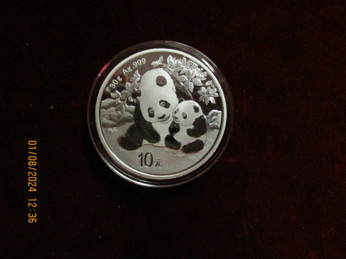  10 Yuan Panda 2024 China Silbermünze   