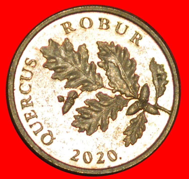  * LATIN (1994-2022):CROATIA★5 LIPAS 2020 NAME OF WORLD TREE! LUSTRE! UNCOMMON★LOW START★ NO RESERVE!   