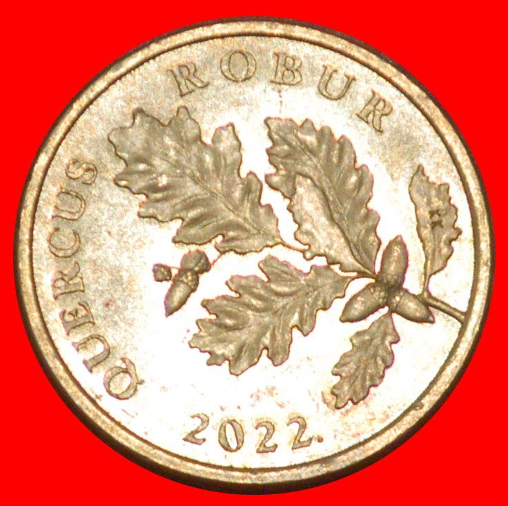  * LATIN (1994-2022): CROATIA ★ 5 LIPAS 2022 NAME OF WORLD TREE! UNCOMMON!★LOW START★ NO RESERVE!   