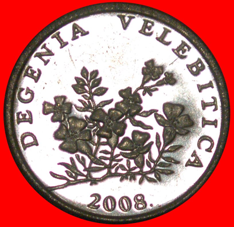  * LATIN (1994-2022): CROATIA ★ 50 LIPAS 2008 FLOWER! MINT LUSTRE! LOW START★ NO RESERVE!   