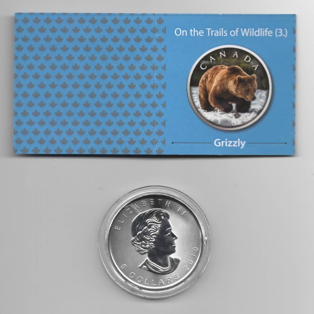  Maple Leaf, On the Trails of Wildlife, 2019, Grizzly, Farbe, 2500, Zertifikat, 1 unze oz Silber   