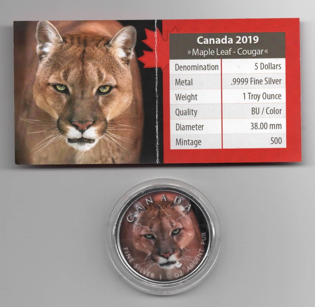  Maple Leaf, Canadas Wildlife, 2019, Cougar, Farbe, 500 Stück, Zertifikat, 1 unze oz Silber   