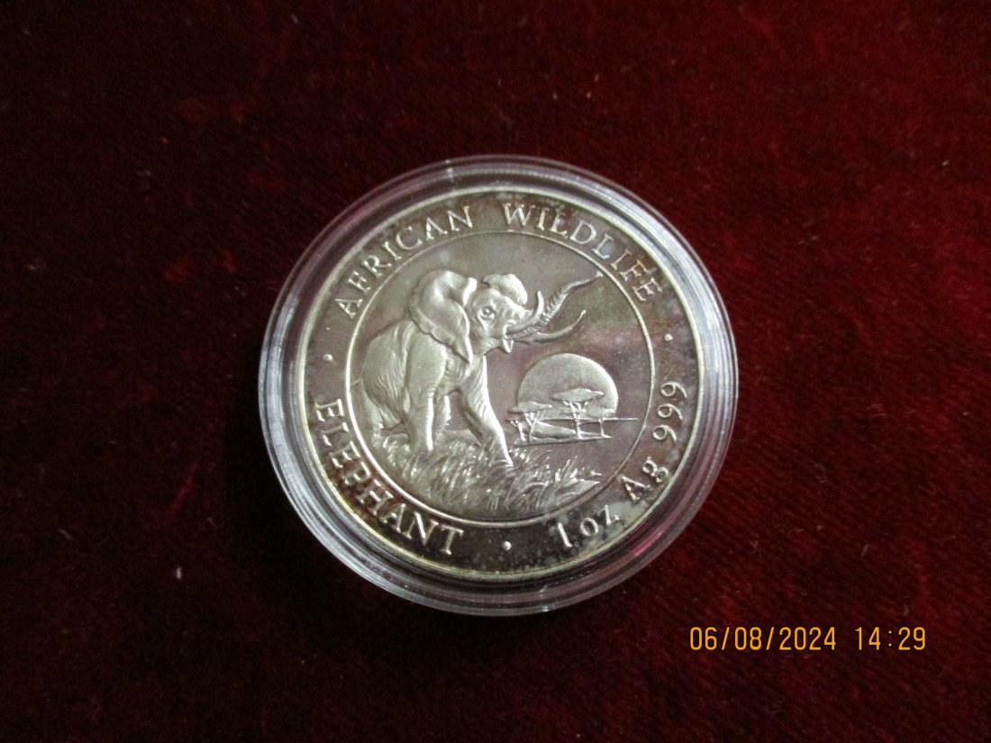  1 Oz Silber - Münze 2009 Somalia African Wildlife Elefant 999er Silber   