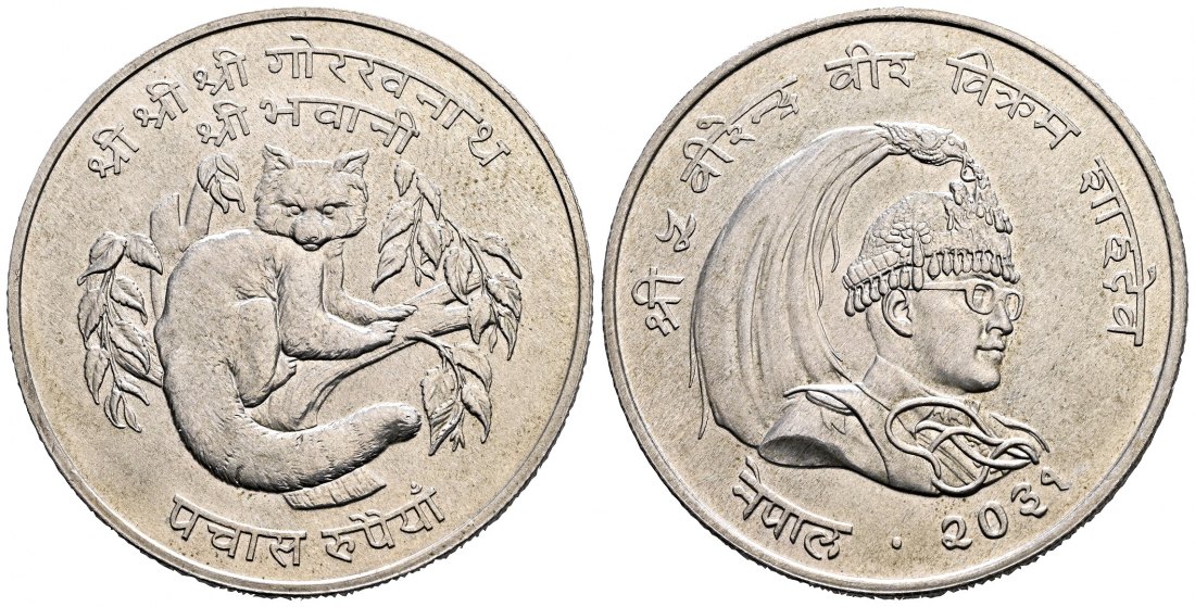 PEUS 2024 Nepal 15,9 g Feinsilber. Red Panda 50 Rupee SILBER 1974 Uncirculated (Kapsel)