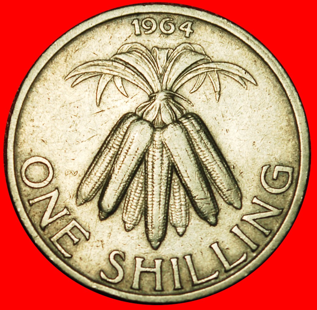  Ⰶ GREAT BRITAN (1964-1968): MALAWI★ 1 SHILLING 1964 BANDA (1963-1994) CORN! ★LOW START ★ NO RESERVE!   