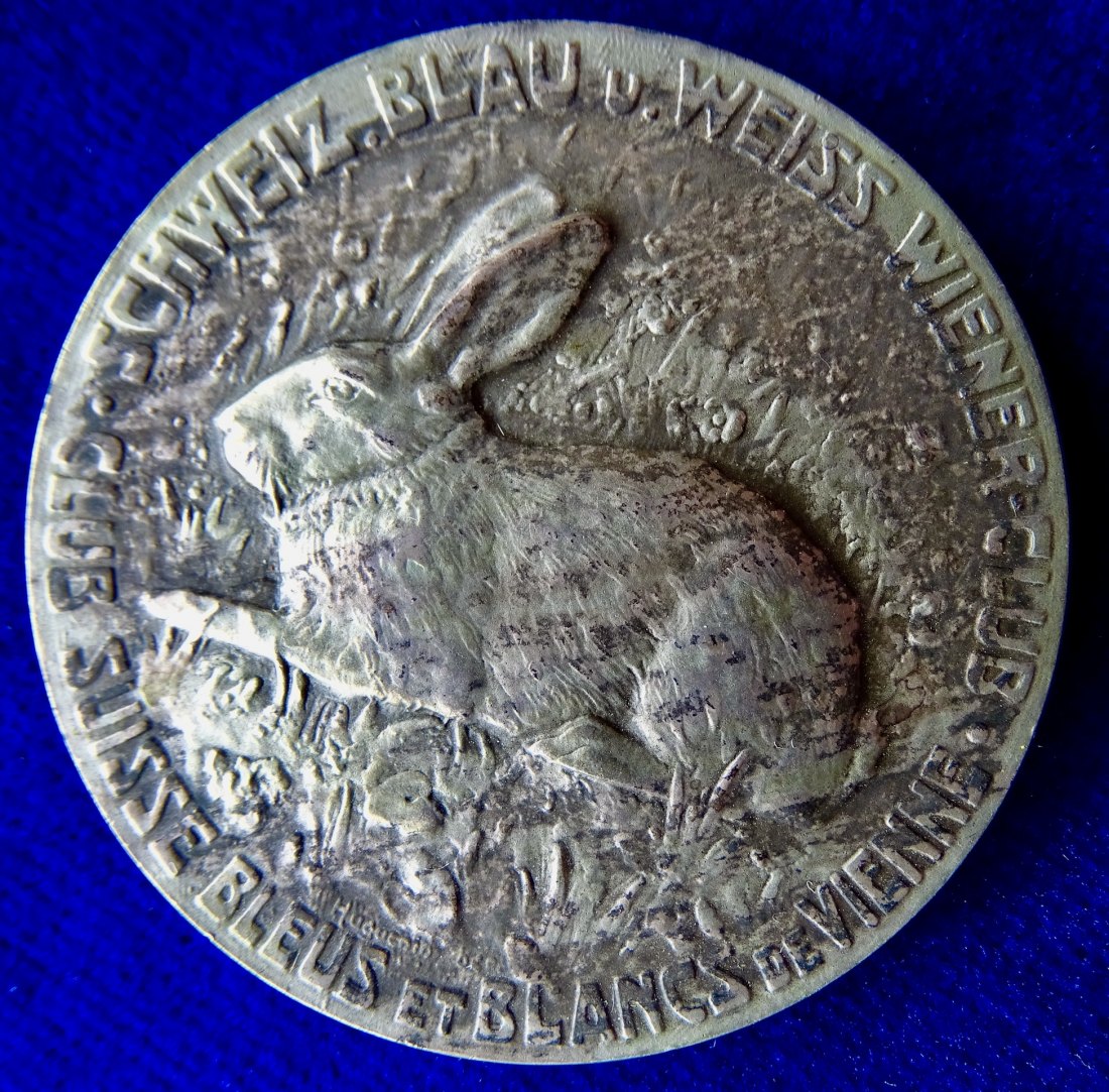  Blau- und Weisswiener Rassekaninchen Schweiz Prämien- Medaille Jugendstil   