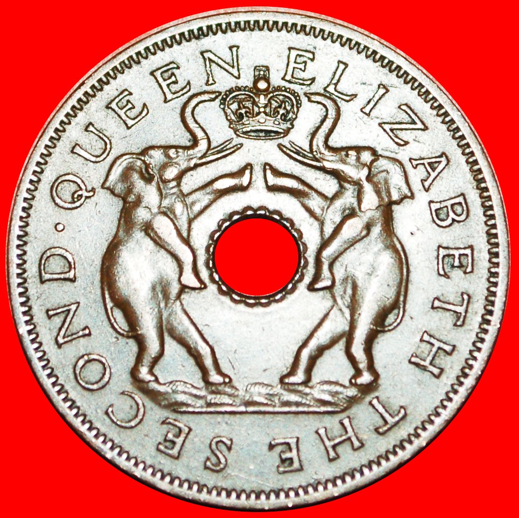  Ⰶ GROSSBRITANNIEN (1955-1963): RHODESIEN UND NJASSALAND ★ 1 PENNY 1956 ELEFANTEN ★OHNE VORBEHALT!   