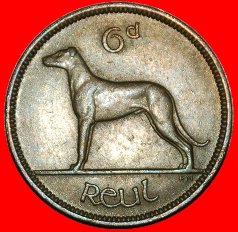  Ⰶ GROSSBRITANNIEN  (1942-1969): IRLAND★6 PENCE 1956 IRISCHER WOLFSHUND! UNGEWÖHNLICH★OHNE VORBEHALT!   