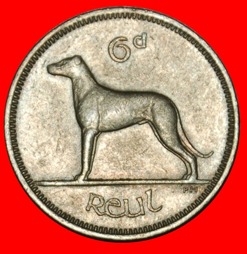  Ⰶ GREAT BRITAIN (1942-1969): IRELAND ★ 6 PENCE 1961 IRISH WOLFHOUND!★LOW START ★ NO RESERVE!   