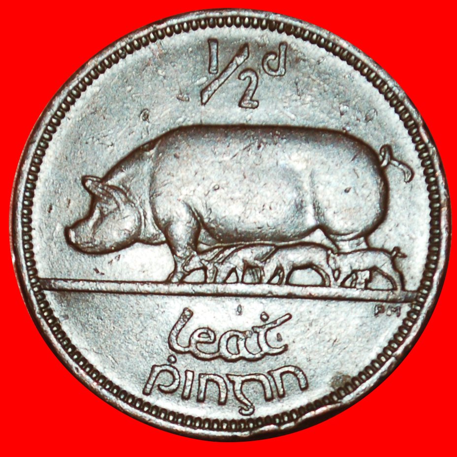  Ⰶ GREAT BRITAIN (1939-1967):IRELAND★1/2 PENNY 1943 PIG WAR ISSUE (1939-1945)★LOW START ★ NO RESERVE!   