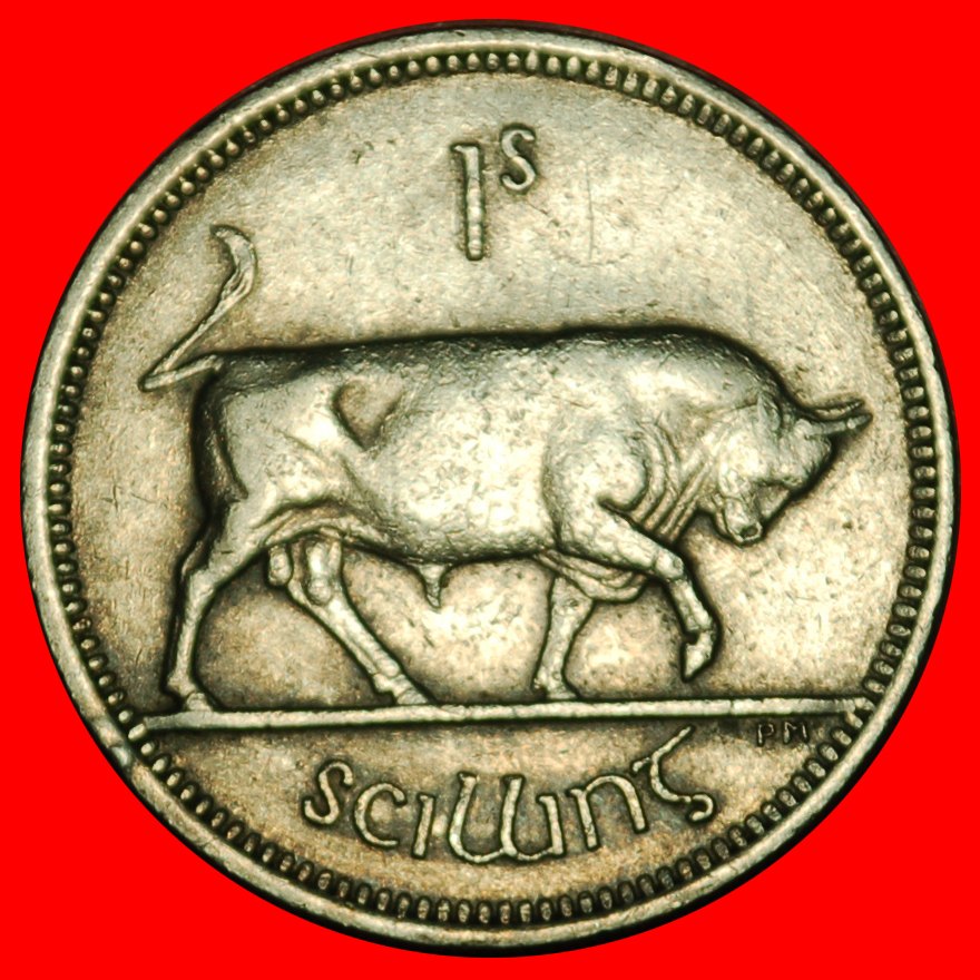  Ⰶ GROSSBRITANNIEN (1951-1968): IRLAND ★ 1 SHILLING 1966 STIER! ★OHNE VORBEHALT!   