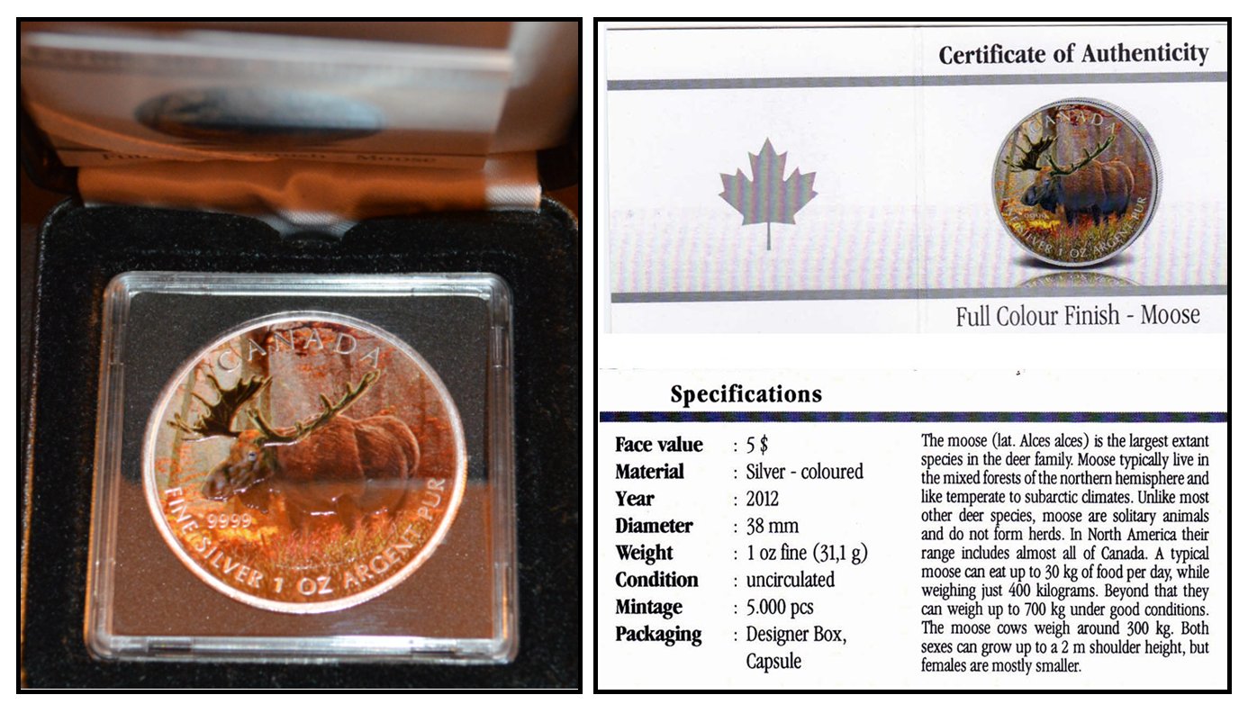  - kirofa - KANADA 5$- 2012 - MOOSE - ELCH - FARBE - 1 oz Silver 9999 - ORIGINALKAPSEL + COA.   