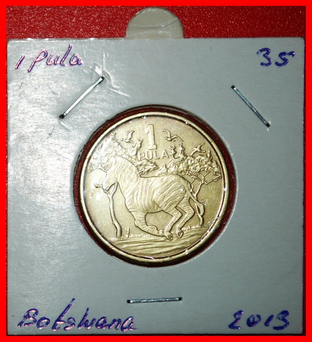  Ⰶ CANADA (2013-2022): BOTSWANA ★ 1 PULA 2013 ZEBRA! IN HOLDER!★LOW START ★ NO RESERVE!   