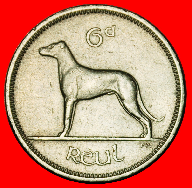  Ⰶ GREAT BRITAIN (1942-1969): IRELAND ★ 6 PENCE 1962 IRISH WOLFHOUND! ★LOW START ★ NO RESERVE!   